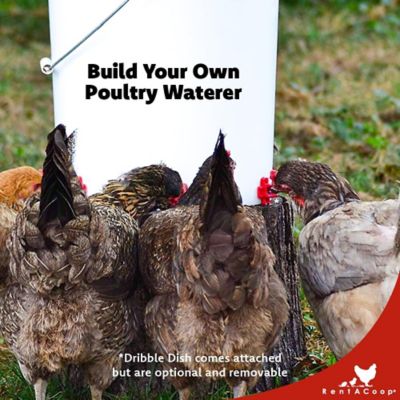 Image showing  DIY Chicken Waterer Kit - Horizontal Nipples with Dribble Dish, 6-Pack