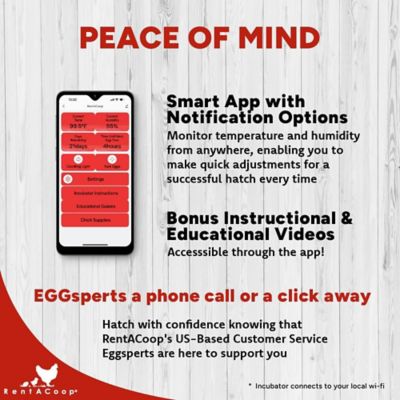 Image showing  16-Egg Incubator