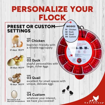 Image showing  16-Egg Incubator