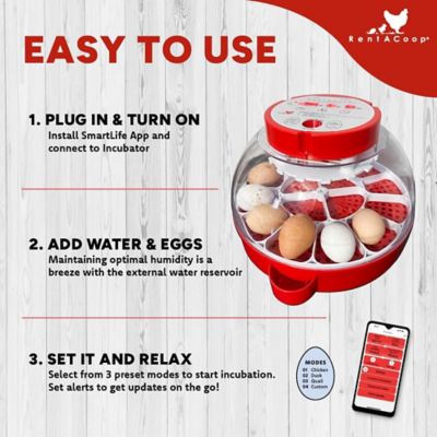 Image showing  16-Egg Incubator