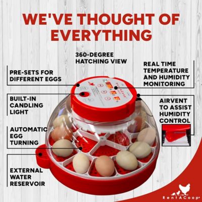 Image showing 7 th RentACoop 16-Egg Incubator