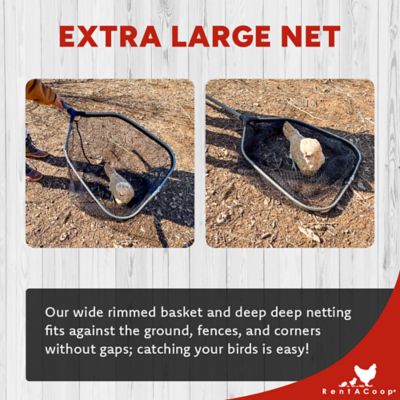 Image showing  Folding Chicken Catching Net