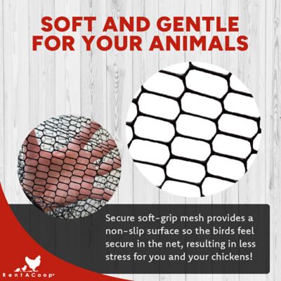 Image showing  Folding Chicken Catching Net