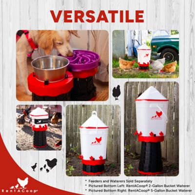 Image showing  Telescopic Stand for Chicken Feeders & Waterers