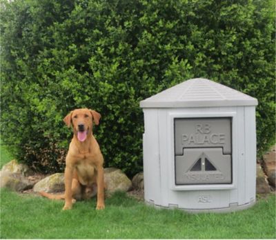 Image showing 5 th Dog Palace Pro Series RB Palace Premium Insulated Dog House