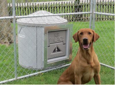 Image showing 7 th Dog Palace Pro Series RB Palace Premium Insulated Dog House