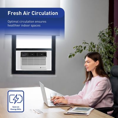 Image showing 5 th Friedrich 115V Smart Window Air Conditioner, 700 sq. ft., 14,000 BTU