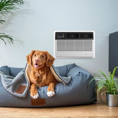Image showing 7 th Friedrich 230V Uni-Fit Smart Through-the-Wall Air Conditioner, 450 sq. ft., 10,000 BTUs