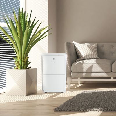 Image showing 9 th Friedrich 35-Pint Dehumidifier, D35B1B