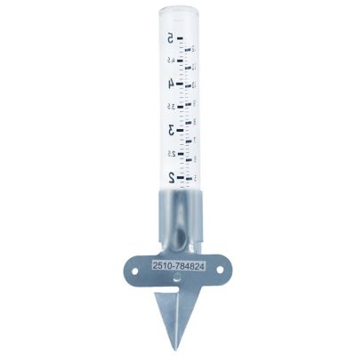 Image showing  5 in . Glass Rain Gauge
