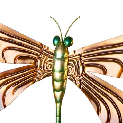 Image showing  Stainless Steel Metal Indoor Outdoor Dragonfly Home Wall Decor with Brown Wings