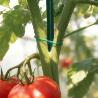 Image showing  164 ft. Plastic Twist with Cutter