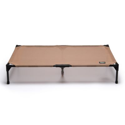 Image showing 3 th Field & Stream All-Weather Outdoor Pet Cot