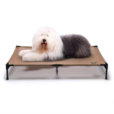 Field & Stream Jumbo All-Weather Pet Cot, 56 in. X 38 in.