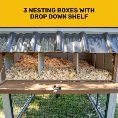 Image showing 6 th Producer's Pride Villa Chicken Coop, 12 Chicken Capacity