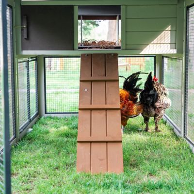 Image showing 7 th Producer's Pride Villa Chicken Coop, 12 Chicken Capacity