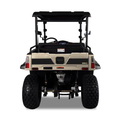 Image showing  Sector 250 UTV