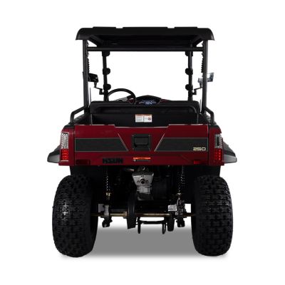 Image showing  Sector 250 UTV