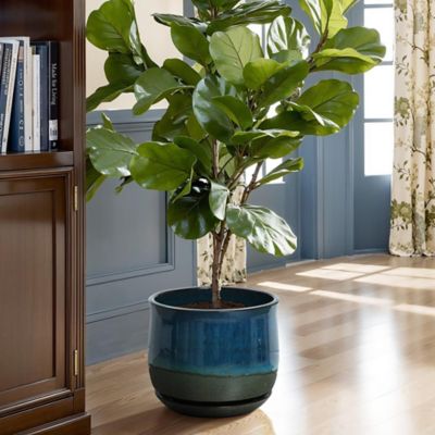 Image showing  Blue and Green Ombre Round Decorative Ceramic Planter Pot