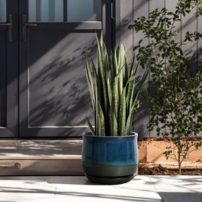 Image showing  Blue and Green Ombre Round Decorative Ceramic Planter Pot