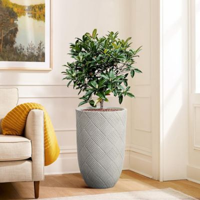 Image showing  Gray Glen Pattern 22.4-Inch Tall MgO Round Planter, Indoor and Outdoor