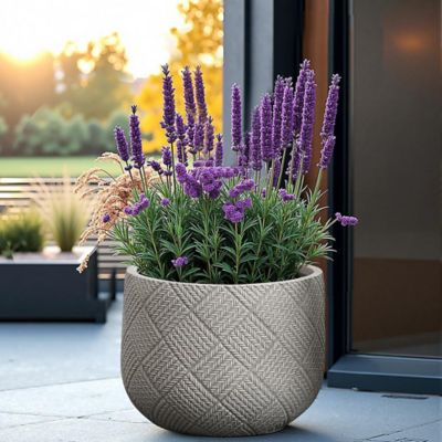 Image showing  Beige Glen Pattern Tall MgO Round Planter, Indoor and Outdoor