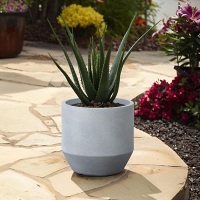 Image showing  Minimalistic Modern Gray Tall Round Tapered MgO Planter