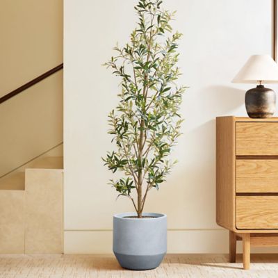 Image showing  Minimalistic Modern Gray Tall Round Tapered MgO Planter