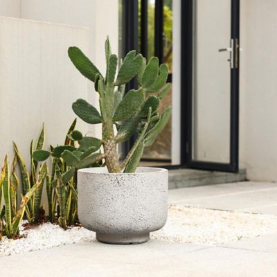 Image showing  Rustic White with Gray Tall Round MgO Planter
