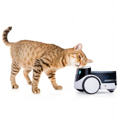 Image showing  ROLA PetPal Moving Pet Security and Companion Robot, with 2.5K QHD Camera and 2-Way Voice Communications