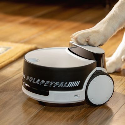 Image showing  ROLA PetPal Moving Pet Security and Companion Robot, with 2.5K QHD Camera and 2-Way Voice Communications