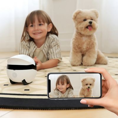 Image showing  ROLA Mini Companion Robot with 2K QHD Camera and Built-in Call Button with 2-Way Voice