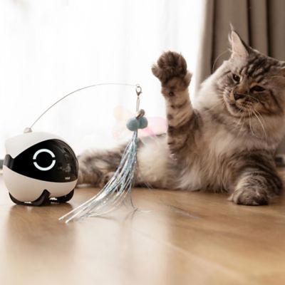 Image showing  ROLA Mini Companion Robot with 2K QHD Camera and Built-in Call Button with 2-Way Voice