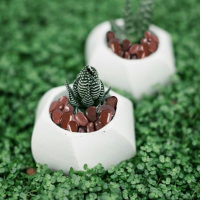 Image showing  2-3 in. Large Premium Red Stones Solar 10 lb. Pack for Garden, Pathway Decor, Aquarium and Water fountains