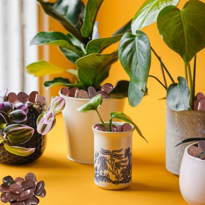 Image showing  2-3 in. Large Premium Red Stones Solar 10 lb. Pack for Garden, Pathway Decor, Aquarium and Water fountains