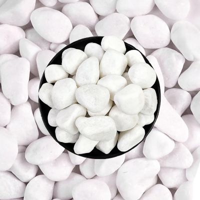 Image showing  0.5-1.5 in. Snow White Stone Pebbles Solar 20 lbs. Pack for Garden, Pathway Decor, Aquarium and Water Fountains