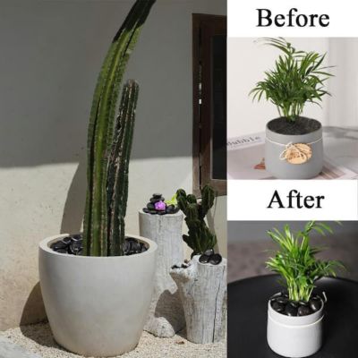 Image showing 2 th Ashman Online 0.5-1.5 in. Small Black Pebbles Solar 20 lb. Pack for Garden, Pathway Decor, Aquarium and Water fountains