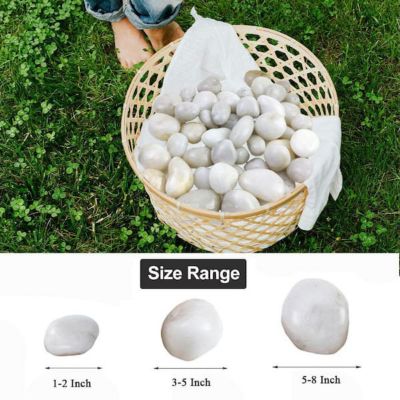 Image showing  Stones 0.5-1 in. White Beach Stones Solar 20 lb. Pack for Garden, Pathway Decor, Aquarium and Water Fountains