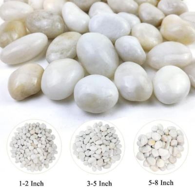 Image showing  3 - 5 in. White Beach Stone Pebbles Solar 10 lb. Pack for Garden, Pathway Decor, Aquarium and Water Fountains