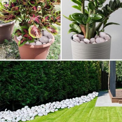 Image showing  3 - 5 in. White Beach Stone Pebbles Solar 10 lb. Pack for Garden, Pathway Decor, Aquarium and Water Fountains