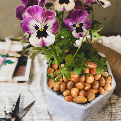 Image showing  Stones 2-3 in. Golden River Rock Solar 10 lbs.-Pack for Garden, Pathway Decor, Aquarium and Water fountains