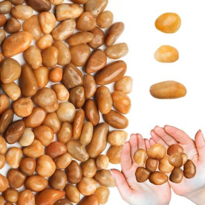 Image showing  Stones 0.5-1.5 in. Golden River Rock Solar 10 lbs. - Pack for Garden, Pathway Decor, Aquarium and Water fountains