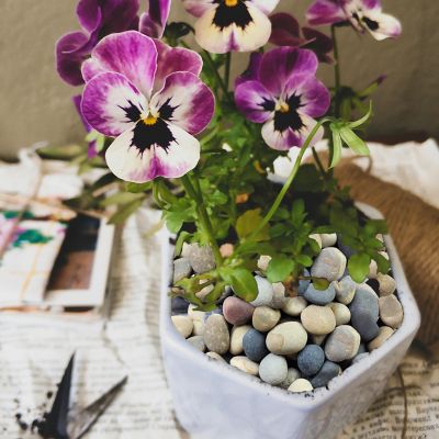 Image showing  0.5 cu. ft. 3-4 in. Mixed Beach Pebbles Smooth River Rocks, 40 lbs. for Gardens, Pathways, Pots, and DIY