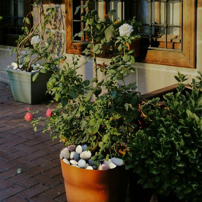 Image showing 5 th Ashman Online 0.14 cu. ft. 3-4 in. Mixed Beach Pebbles Smooth River Rocks, 10 lbs. for Gardens, Pathways, Pots, and DIY