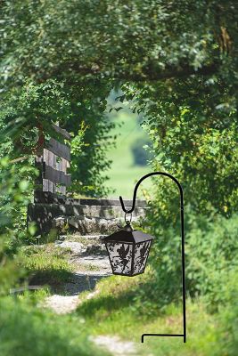 Image showing  25 in. Black Metal Outdoor Shepherd Hook, 12 pk.