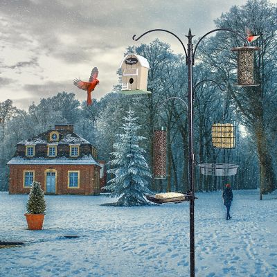 Image showing  Premium Bird Feeding Station - Multi Feeder Pole Stand Kit with 4 Hangers - 22 in. W x 91 in. Tall (1-Pack)