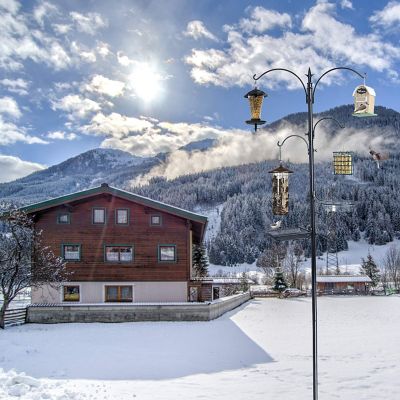 Image showing  Premium Bird Feeding Station - Multi Feeder Pole Stand Kit with 4 Hangers - 22 in. W x 91 in. Tall (1-Pack)