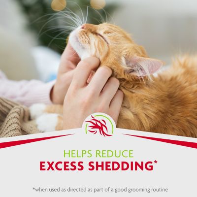 Image showing 6 th FURminator Rinse Free Foam Cat Comb