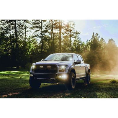 Image showing  D-Series PRO LED Light, Hyperspot Surface Mount Black Housing, 2-Pack