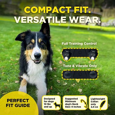 Image showing  200IQ 1/2 Mile 1-Dog E-Collar